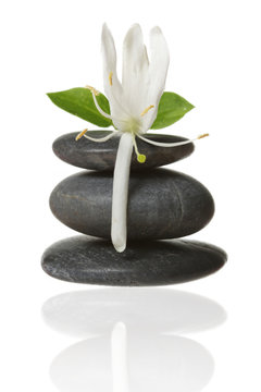 Stacked Stones With Flower