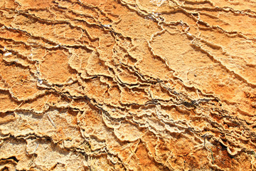 The Mammoth Hot Spring area in Yellowstone National Park