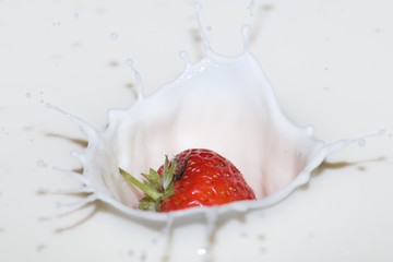 splashing strawberry into a milk