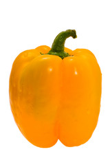 sweet, bulgarian pepper expressed on white background