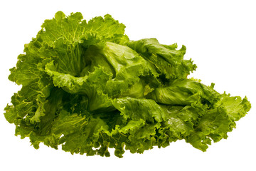 Obraz premium fresh colour lettuce taken pictures on white background