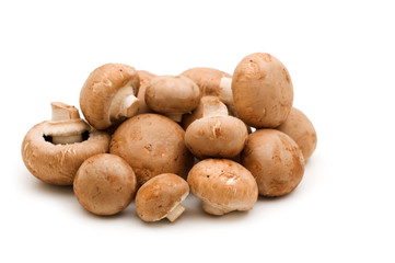 brown champignon on white background