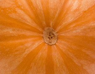 Orange texture of a pumpkin bottom