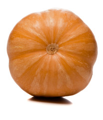 Pumpkin bottom, isolated over white