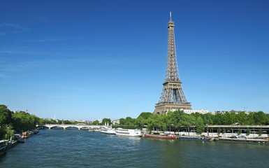 Fototapeta na wymiar Eiffel Tower Bridge biracial