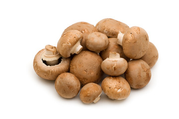 brown champignon on white background