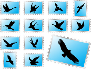 Set postage stamps. Birds