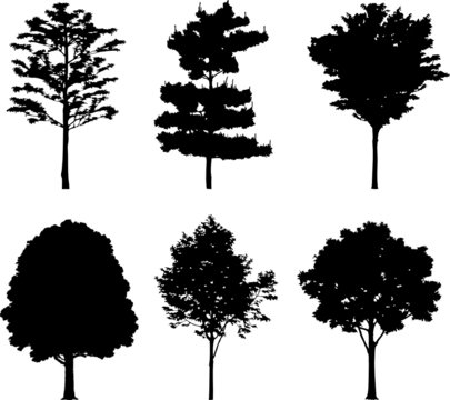 Set isolated trees. Silhouettes