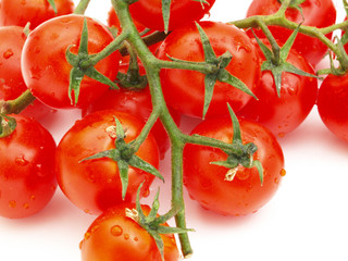 tomatoes branch isolated onn the white background
