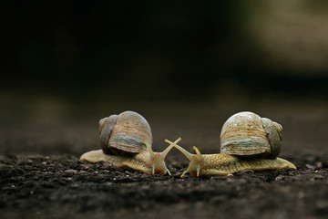 was muss Liebe schön sein