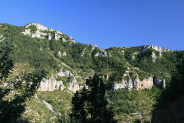 Fototapeta na wymiar Gorges du Tarn