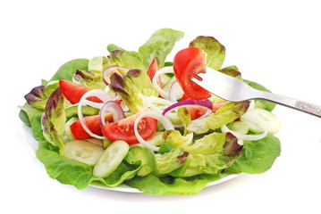 fresh salad