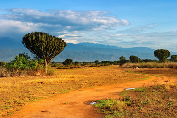 African savanna, Queen Elizabeth National Park, Uganda - obrazy, fototapety, plakaty