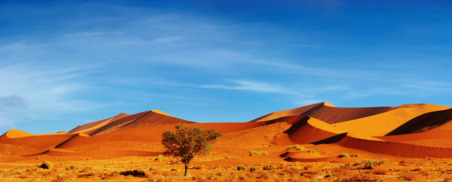 Dunes of Namib Desert at sunset, Sossusvlei, Namibia