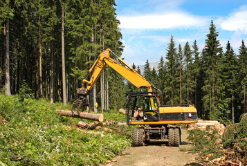 Heavy truck lifting logs