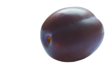 big shiny prune isolated on white
