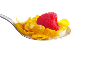 closeup of cereal and a raspberry in milk