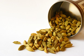 Cardamom