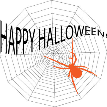 halloween spider and spiderweb  vector elements