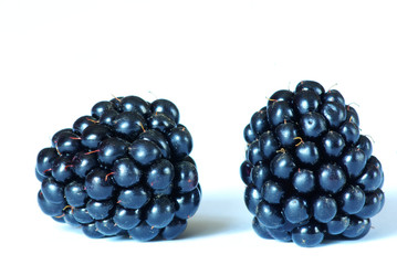 blackberries