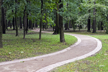 Twisting footpath in city park