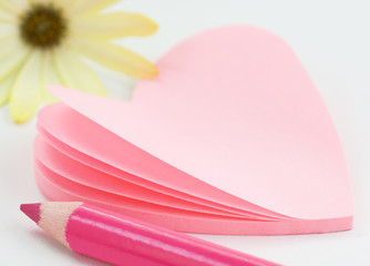 heart shaped note paper, pencil and flower on white background..