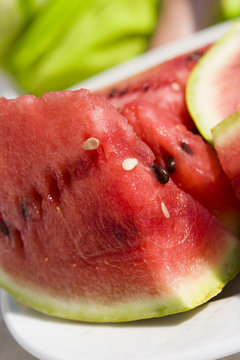 Slices of juicy watermelon on white plate
