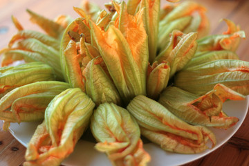 Obraz premium fiori di zucca