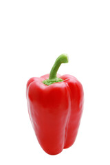 Red paprika on white background