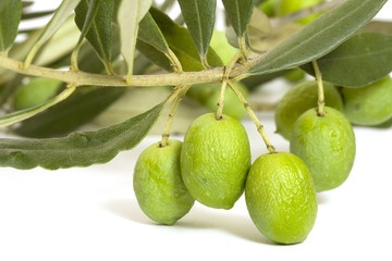 alcune olive verdi