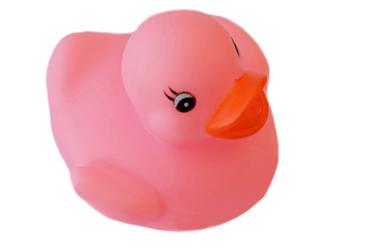 Pink Plastic Duck A Over White Background