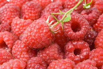 Abstract background from a fresh ripe raspberry