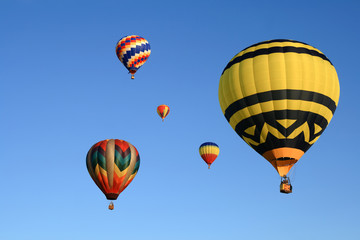 Many beautiful hot air balloons in the clear sky.