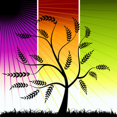 Tree silhouette, color background