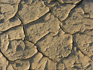 Cracked land background