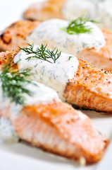 Cooked salmon fillets with dill sauce on white plate