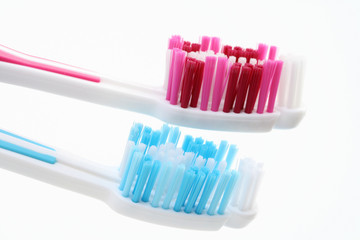 two toothbrushes isolated on white background