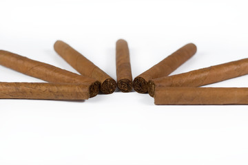 cigars on a white background