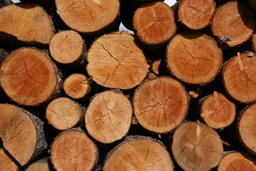 Stack of fresh firewood - interesting wooden abstract
