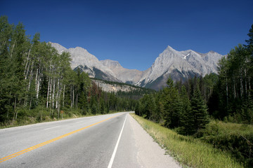 Road in British Columbia, Canada. Yoho National Park.