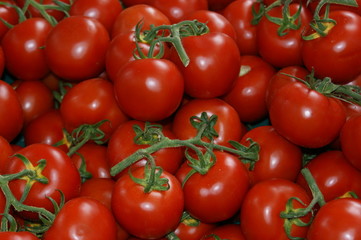 Tomaten