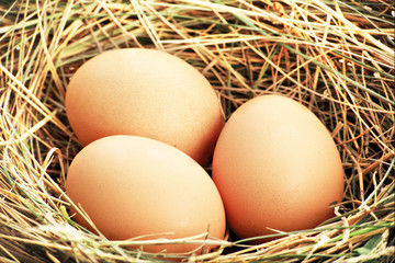 Eggs background. Shot in a studio.