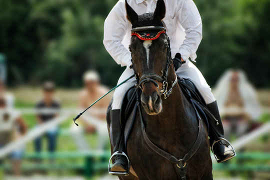 Horse theme: jockeys, horse races, speed.