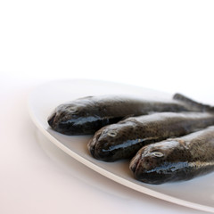 3 Forellen auf dem Teller