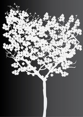 white tree silhouette