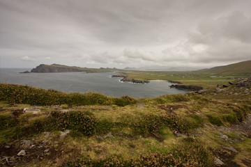 Ireland coast