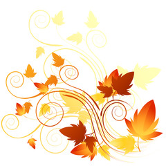 Soft floral elements with autumn in mind. Vector illustration
