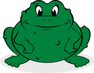 The image of the frog executed in a vector