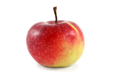 fresh apple
