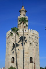 Fototapeta premium tour d'or à Séville ou torre de oro